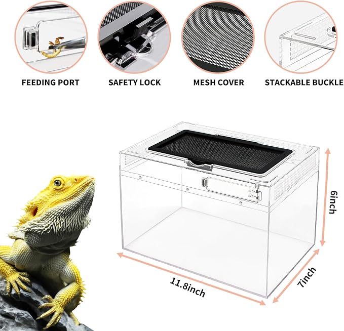 Mini Reptile Terrarium Set,11.8" x 7"x 6" Low Reptile Tank with Full View Visually Appealing，for Insect，Fish，Tarantula，Hermit Crab，Jumping Spider，Iguana，Tortoise，Leopard Gecko，Frog，Bearded Dragon