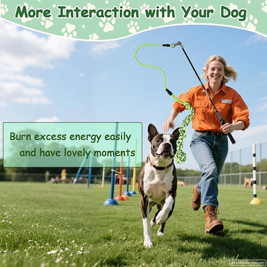 Flirt Pole for Dogs Heavy Duty, Interactive Chase & Tug of War Teaser Wand with Detachable Replacement Knot Ball and Rope Chewing Toys Flirt Stick for Small Medium Large Dogs Exercise & Training