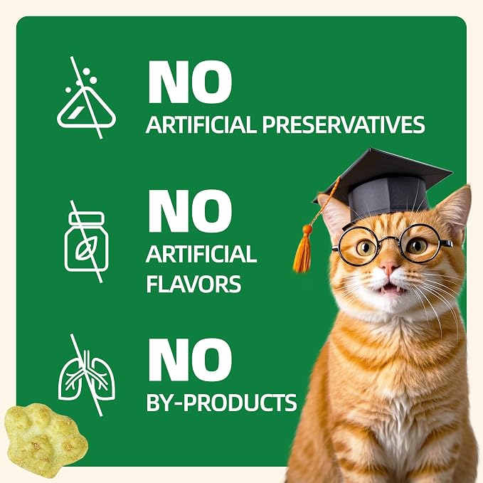 Wellix 29.45 oz Cat Grass Treats with Catnip & Salmon - Healthy Cat Treats for Indoor Cats - Hairball Control & Digestive Support - Kittens Training Snacks for Teeth Cleaning
