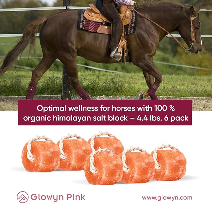 Glowyn Himalayan Salt Lick-Natural Minerals Block on Rope - 4.0 lbs. (6 Packs) - Great for Horses, Cattle, and Live Stock– Long Lasting – Pink Salt Lick