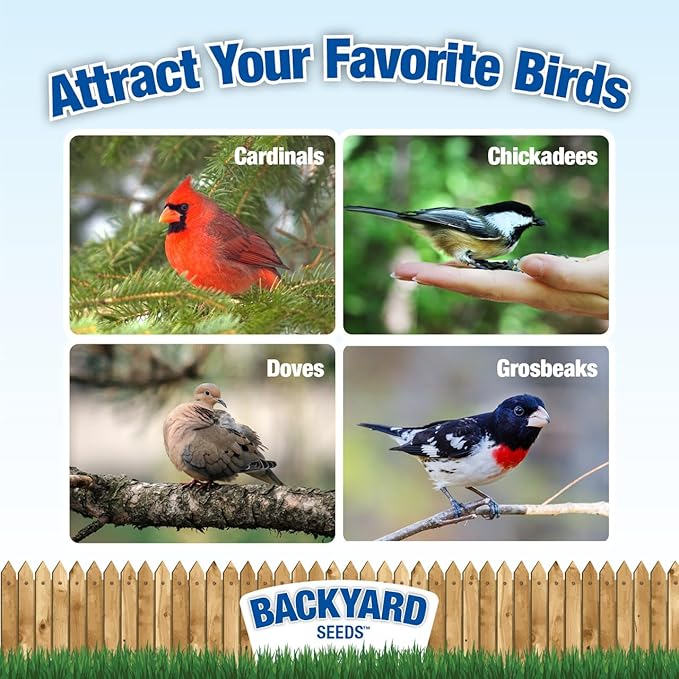 CountryMax Backyard Seeds Wild Bird Seed Blend 40lbs - Premium No-Waste Mix with Sunflower Chips, Shelled Peanuts & Hulled Millet, Medium Bag of Wild Bird Food