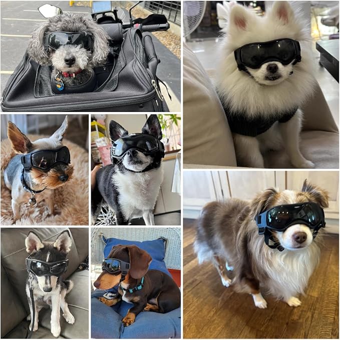 Dog Goggles Dog Sunglasses for Small Breed UV Protection Windproof with Adjustable Head Straps Chin Straps for Ride Car/Hiking Travel/On Beach-Black
