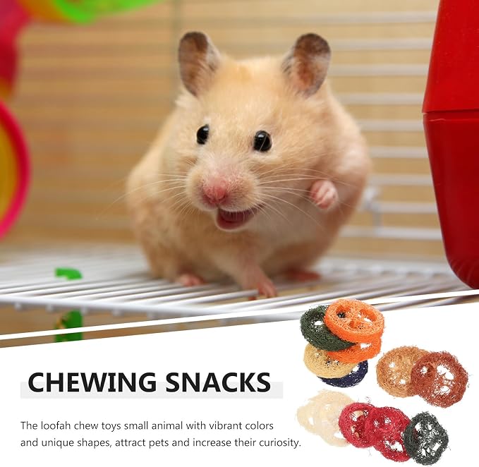 SEWACC 12pcs Organic Loofah Chew for Small Animals Rabbit Bunny Chinchilla Dental Care Molar Grinding Natural Safe Pet Teeth Cleaning with Vibrant Colors and Unique Shapes Random Color