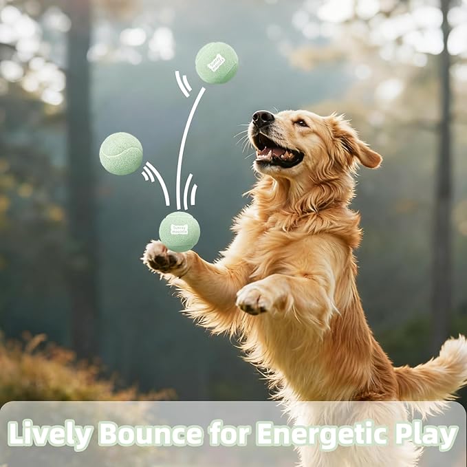 2.5" Dog Tennis Balls 6-Pack Silent Bounce, Tough Rubber Core, Durable Fetch & Training Toys for Indoor/Outdoor Play, for Small Medium Large Dogs (Light Green, 6 Pack)