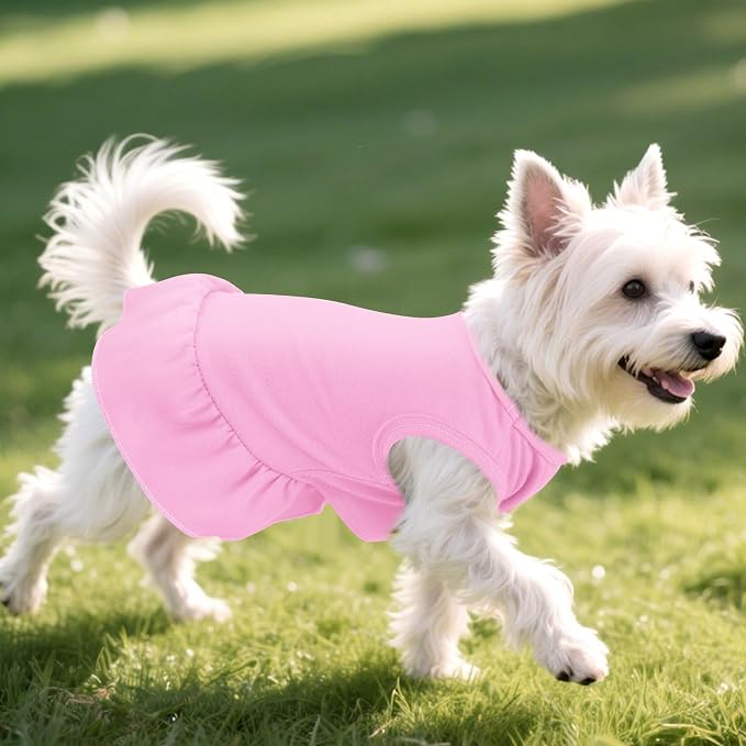 2 Pcs Dog Dress Cute Cat Skirt Solid Color Summer Clothes for Small Pet Dogs Cat (Yellow,Pink, Large)