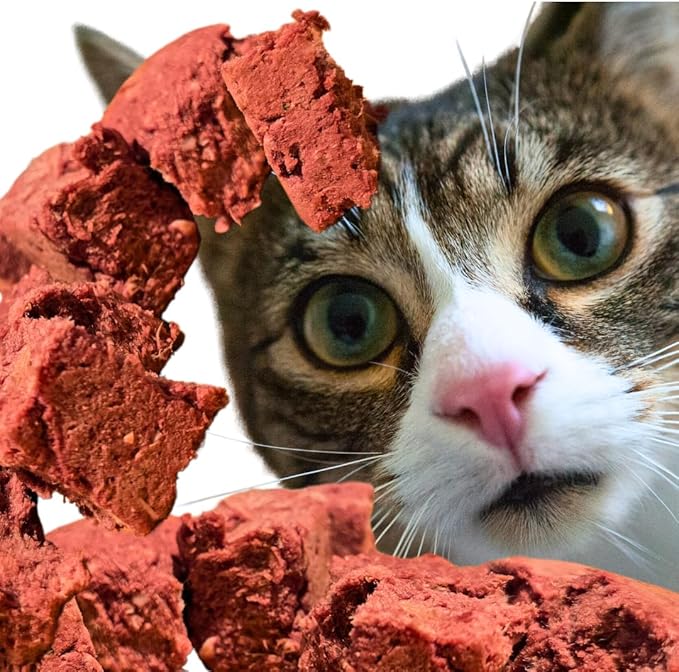 BJ'S RAW PET FOOD Freeze Dried Complete & Balanced Cat Food Mix | Multi-Protein Meal for Optimal Feline Health | Made in USA, 4-Ounce