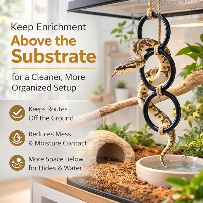 2PCS Snake Climbing Rings for Ball Python - Enrichment Toys for Corn Snake - Reptiletank Cage Decor Habitat Accessories | Terrarium, Bearded Dragon, Chameleon, Iguana, Gecko, Lizard, Parrot