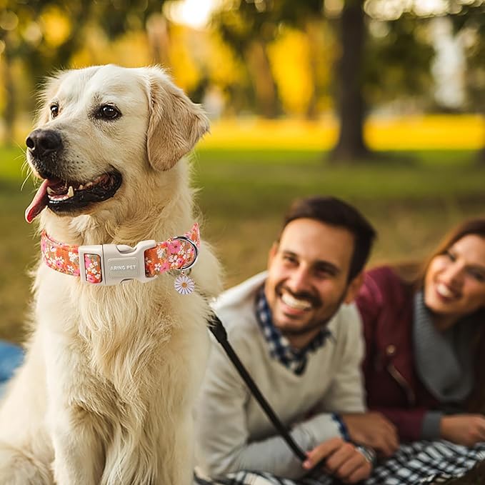 ARING PET Spring Summer Dog Collar, Cute Daisy Wildflower Floral Blossom Pet Collars for Small Medium Large Girl Dogs-L Size