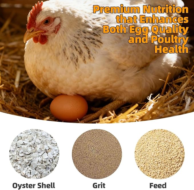 Chicken Oyster Shell Grit Feeder Coop Accessories Automatic Metal Hanging Gravity Poultry Supplies Automatic Suitable for Quail Pigeons Chicken No-Waste Design Easy to Install and Clean 2 Pack