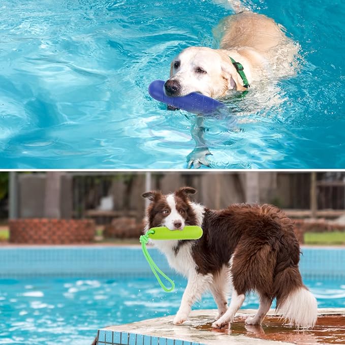 PUPTECK Interactive Dog Pool Toys Water Floating Toys Fetch Training Bumpers 2 Pack, Blue & Green