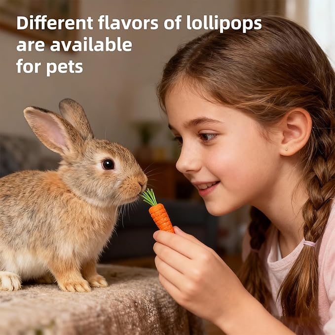 Rabbit Chew Toys, Treats for Guinea Pigs & Hamsters - Natural Chew Sticks & Balls Set for Small Animals, Dental Care Treats for Chinchillas, Bunny - 20+ Toys for Teeth Health (22 Pieces)