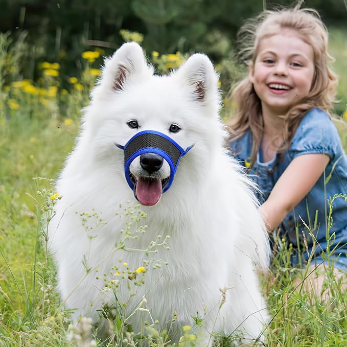 HEELE Dog Muzzle,Soft Nylon Muzzle Anti Biting Barking Chewing,Air Mesh Breathable Drinkable Adjustable Loop Pets Muzzle for Small Medium Large Dogs 4 Colors 4 Sizes (Blue, L)