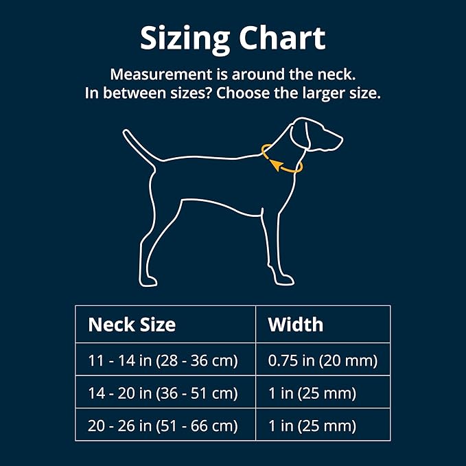Ruffwear, Chain Reaction Dog Collar, Adjustable Reflective Martingale Escape-Proof Collar with Stainless Steel Chain, Professional Training Control, Basalt Gray, 14"-20"