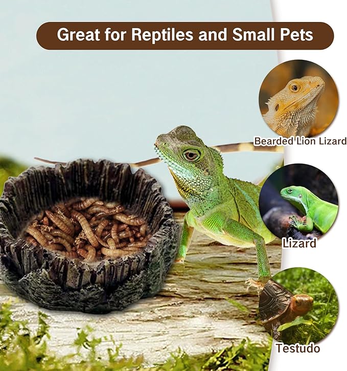 1 Pack Small Reptile Food Dish Resin Rock Worm Water Bowl for Bearded Dragon Leopard Gecko Lizard Hermit Crab Snail Frog Toad Anti Turnover Feeding Accessories Set