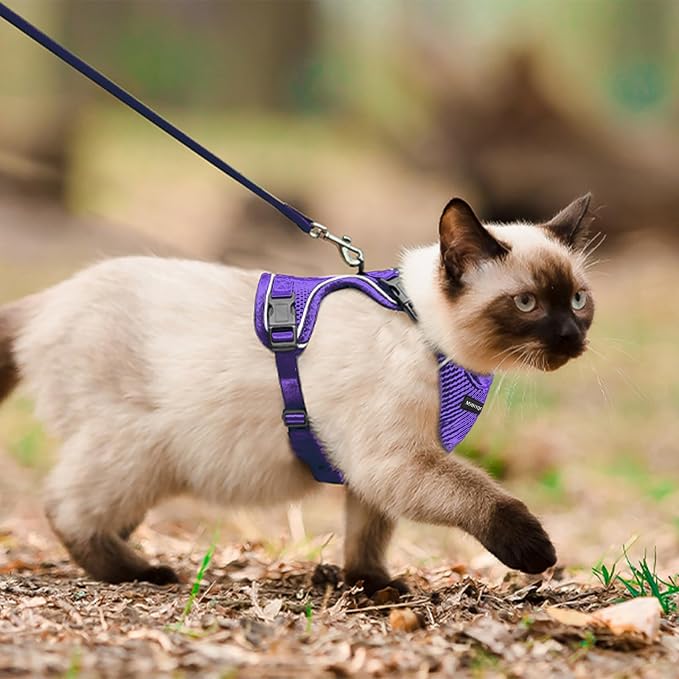 Cat Harness and Leash Set for Walking Escape Proof, Improved Four Place Adjustable Cat Car Harness, Soft Kittens Vest with Reflective Strip for Cats, Comfortable Outdoor Vest, Purple, XS