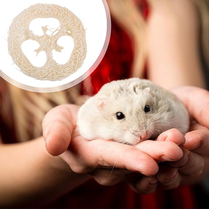 BESPORTBLE 40pcs Natural Loofah Slices Chew for Small Pets Hamsters Rabbits Guinea Pigs Rats Teeth Cleaning Treats Molar for Mouth Health and Furniture Protection