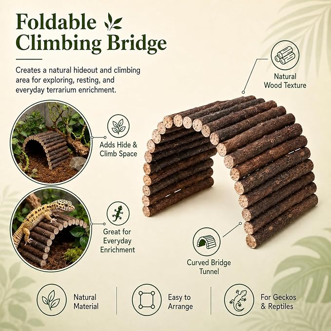 RUNANIA Crested Gecko Tank Accessories，Reptile Vines Plants with Coconut Shell Ladder Hideout Hermit Crab Decor for Leopard Gecko Lizard Chameleon Tortoise Snake Terrarium Decor