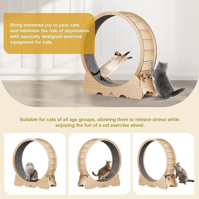 Cat Exercise Wheel, 48" XL Large Cat Treadmill with 7:3 Golden Ratio Design, Quiet and Sturdy Running Wheel with Detachable Carpet for Indoor Cats