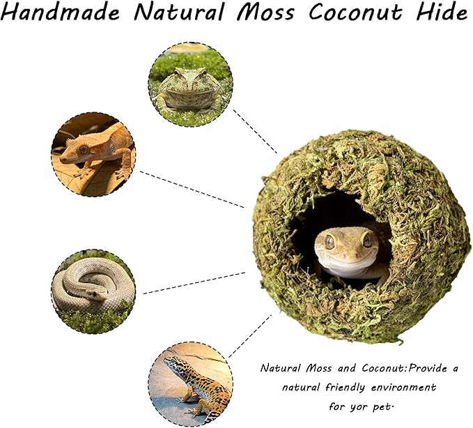 Reptile Hideout Cave - Natural Coconut Moss Terrarium Decor & Snake Hide - Leopard Gecko Hide & Ball Python Hide - Reptile Tank Accessories & Habitat Hideouts for Bearded Dragon