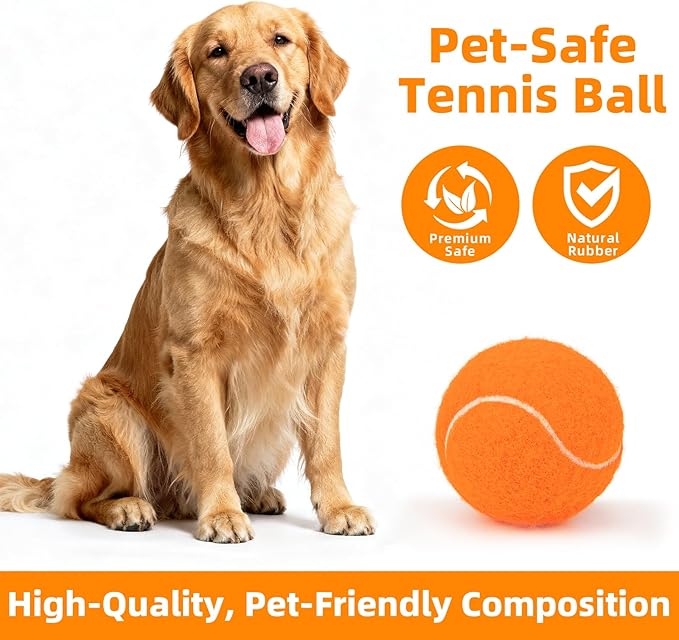 2.5" Dog Tennis Balls 6-Pack Silent Bounce, Tough Rubber Core, Durable Fetch & Training Toys for Indoor/Outdoor Play, for Small Medium Large Dogs (Orange, 6 Pack)