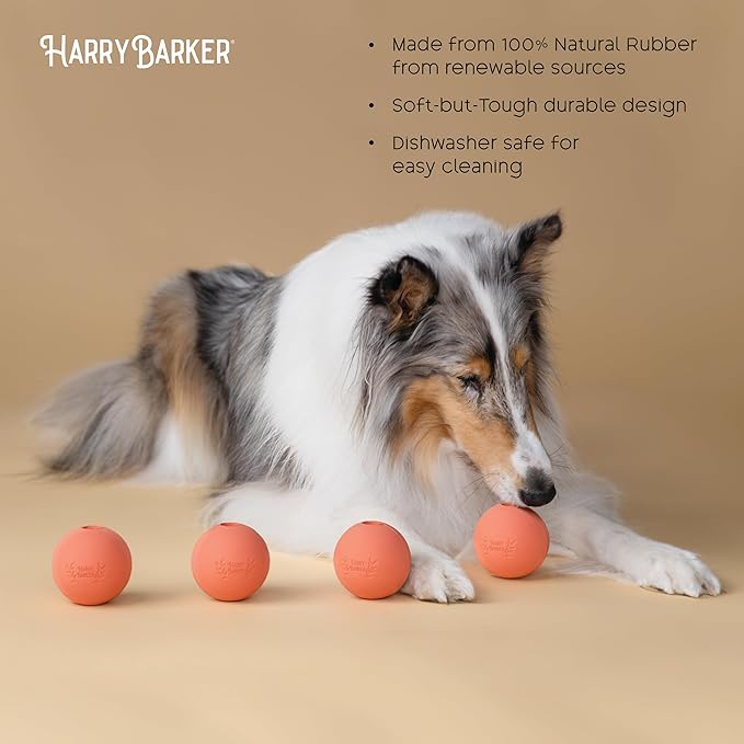 Harry Barker Rubber Balls and Rubber Chew Stick for Dogs