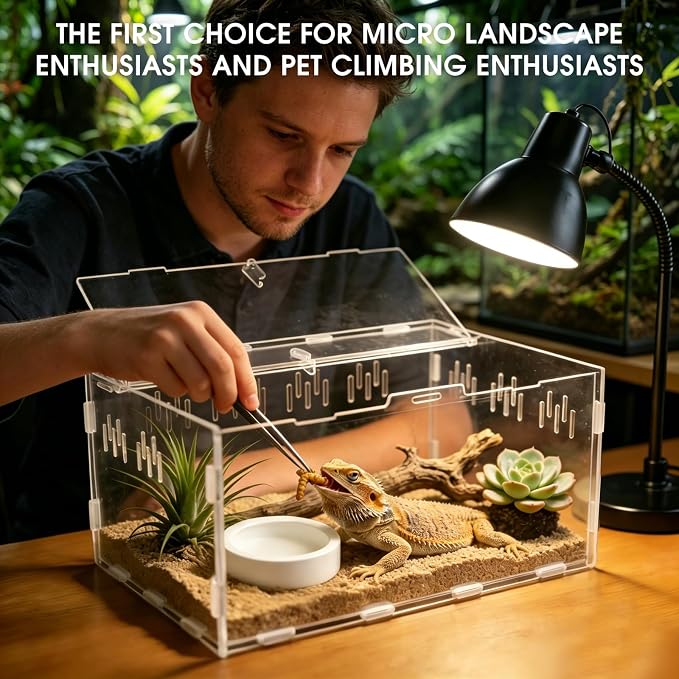 Jumping Spider Enclosure, Insect Terrarium, Bug Cage, Acrylic Terrarium for Tarantula, Snail, Praying Mantis, Frog, and Small Reptiles, Includes Tweezer and Bowl, (11.8" x 7.8" x 5.9")
