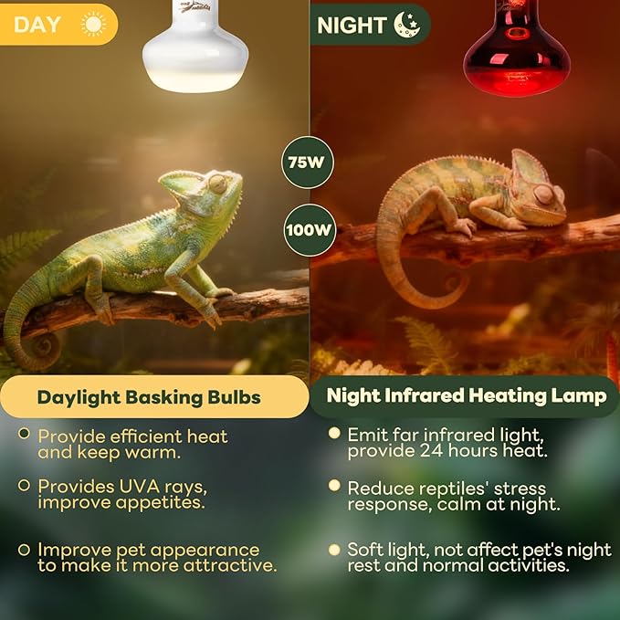 Reptile Heat Lamp Bulbs, 2 Pack 75W Reptile Heat Bulbs UVA Daylight Basking Bulb and Infrared Heat Lamp Red Night Light Bulb Combo for Bearded Dragon Chameleon Turtle Snake Gecko Lizard Chicken Tank