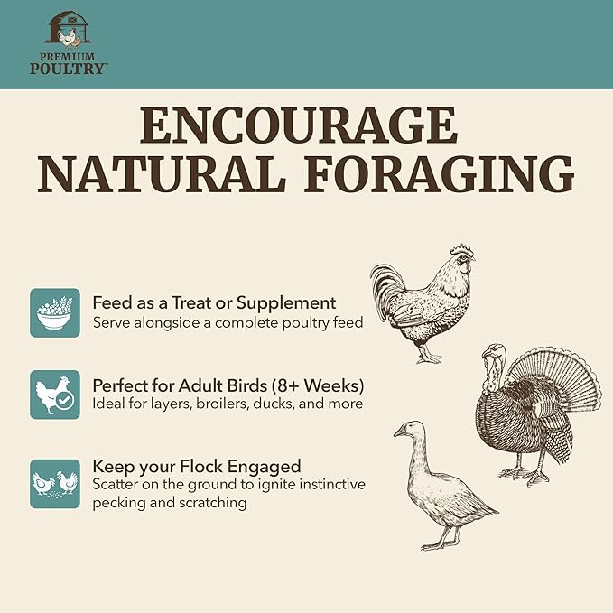 Chicken Scratch Grain for Chickens, Ducks & Turkeys, Natural 3-Grain Scratch Feed Treat, Made in USA, Foraging & Energy Support, 40 lbs