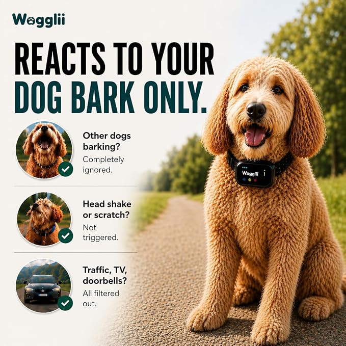 Smart AI Bark Collar for Small Medium Large Dogs, Automatic Anti Barking Device with 5 Sensitivity Levels, LCD Display, Vibration and Static Modes, Rechargeable IP67 Waterproof, Black
