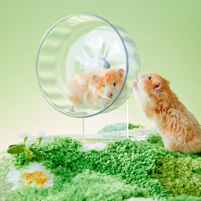 Hamster Wheel, Silent Running Exercise Wheel with Adjustable Stand for Hamster Guinea Pig Gerbil Hedgehog Small Animal Cage Accessories (Clear, 6.5inch)