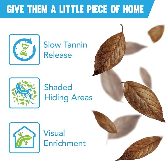 JOR Mahogany Leaves, Vivarium Leaf Litter for Frogs, Mixing with Substrate, Maintains Humidity and pH Levels, Creates Natural Bioactive Habitat, Additional Food (2” Small, 50 Pack, Mahogany Leaf)
