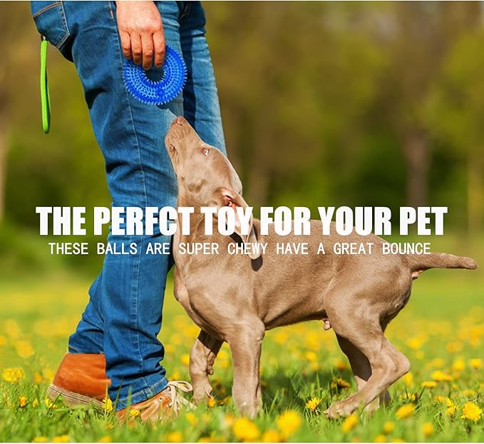 Andiker Squeaky Dog Toy, Safe TPR Chewable Dog Toys for Teeth Grinding&Cleaning Dog Fetch Toys for Enhancing Interactivity Outdoor Suitable for All Dog Sizes Puppy’s Gifts and Dog Lovers (Large)