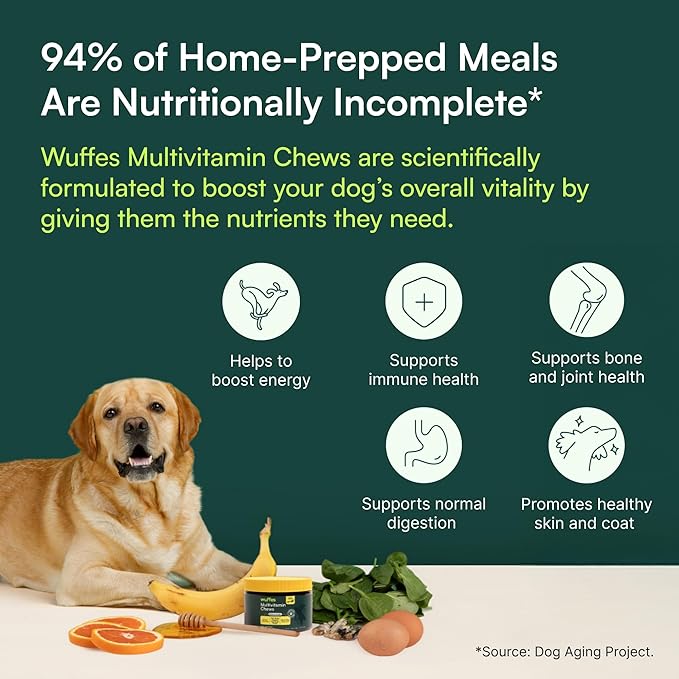 Wuffes 23-in-1 Dog Multivitamin Soft Chews Skin & Coat, Immune + Gut Health Support - Vitamins & Minerals with Omega-3, Iron & Zinc for Puppies & Senior Dogs, 60 Ct