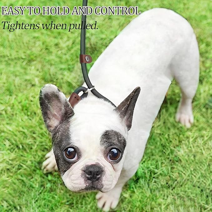 MayPaw Slip Lead Control Leash for Dogs No Pull, 13+ Colors Classic Dog Lead 7FT Pet Slip Leash, 1/4” Rope Leashes for Small Medium Animals Orange