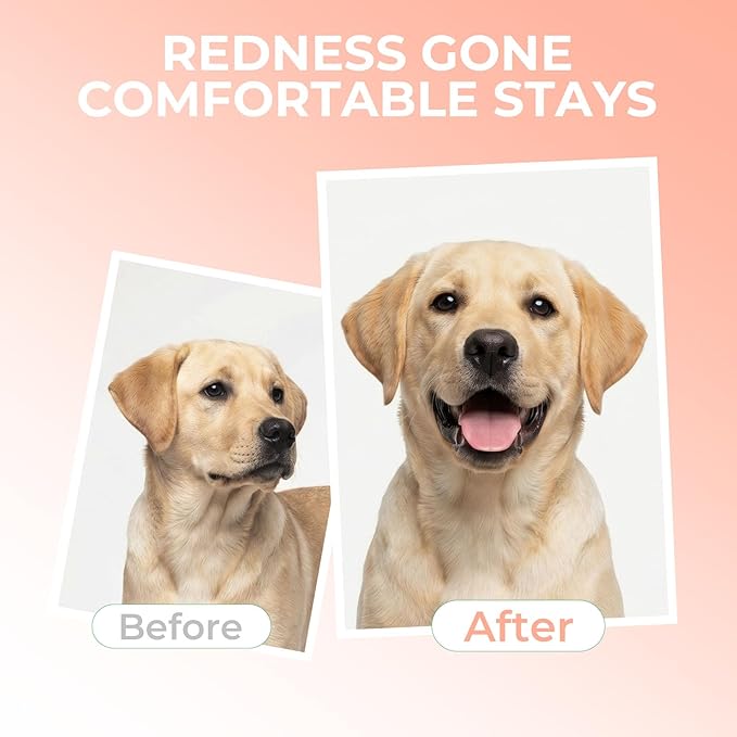 2-in-1 Dog Shampoo & Conditioner, Probiotic Pet Shampoo for Puppies & All Breeds, Hypoallergenic Formula for Sensitive Skin with Panthenol, Papaya Coconut Scent, 17oz, 2-Pack