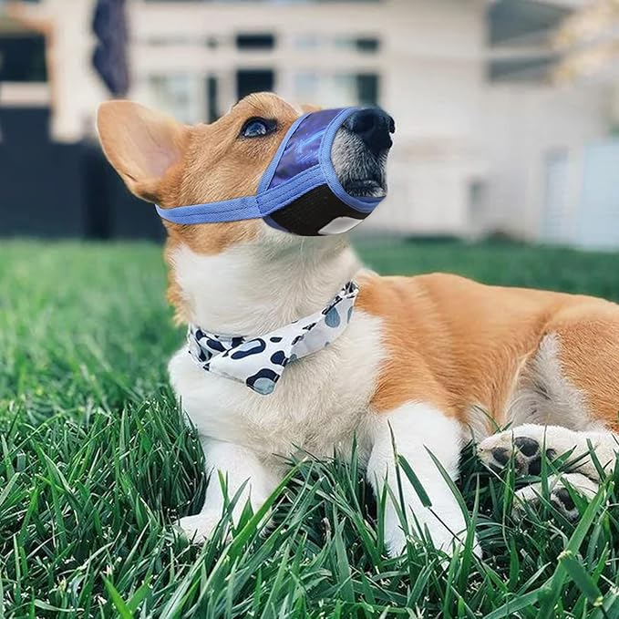 HEELE Dog Muzzle,Soft Nylon Muzzle Anti Biting Barking Chewing,Air Mesh Breathable Drinkable Adjustable Loop Pets Muzzle for Small Medium Large Dogs 4 Colors 4 Sizes (P-Sky Blue, XS)