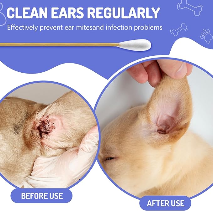 600pcs Professional Dog Ear Swabs, Specially Designed for Dogs (Large)