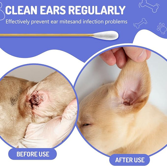 300PCS Large Cotton Swabs in Storage Box, 6 Inch Dog Ear Swabs with Bamboo Handle for Dogs - Soft Cotton, Gentle and Lint-Free, Specially Designed for Dogs, (Large)