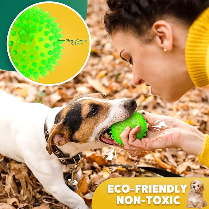 PUPTILY 2 Different Functions Interactive Ball for Dogs 2.5” Squeaky Dog Balls Toys and Puppy Teething Chew Toy Balls for Small Dogs for Clean Teeth and Training （5Pcs）