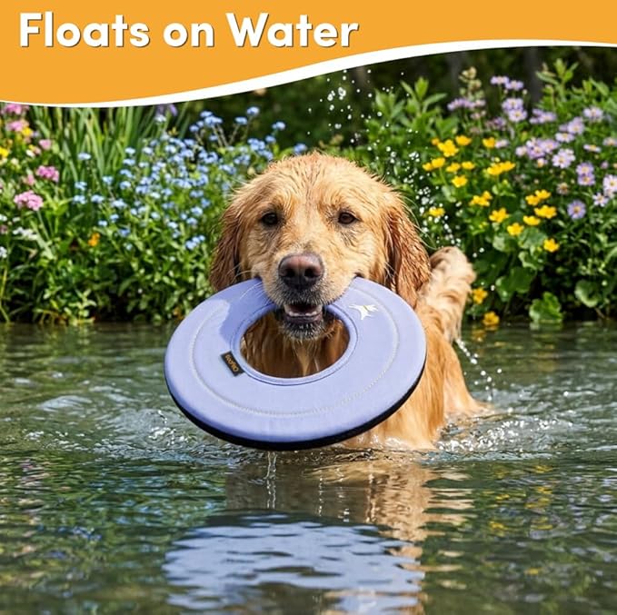 OllyDog Super Flyer, Floating Dog Disc for Water Play – Soft Durable Dog Fetch Toy, Eco-Friendly Recycled Material, Gentle on Teeth, Lightweight Flying Disc for Medium, Large Dogs (Blue Heron, 11")