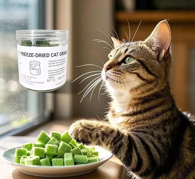 Fangool Freeze-Dried Cat Grass Treats,1.8oz Chicken Freeze-Dried Cat Grass Granules/80% cat Grass Content Hairbal Remedy and Teeth Cleaning