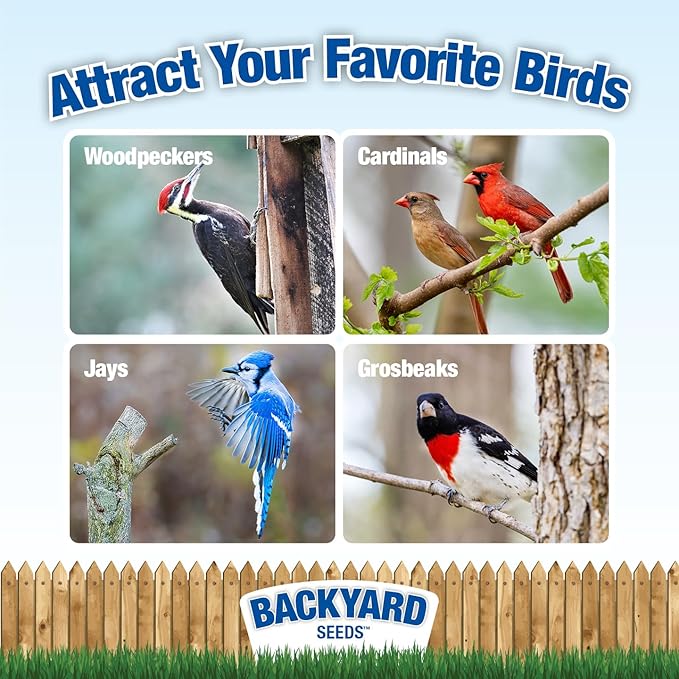 Backyard Seeds Woodpecker No-Waste Bird Seed Mix 40lbs - Premium Shelled Peanuts & Sunflower Chips, Two Medium Bags of Wild Bird Food