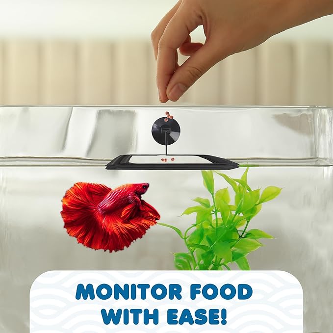 SunGrow Fish Food Feeding Ring, Stop Water Turbulence from Washing Food & Floating Plants into Filtration System, Suitable for Flakes & Floating Fish Pellets (3 Pieces)