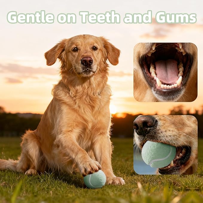 2.5" Dog Tennis Balls 6-Pack Silent Bounce, Tough Rubber Core, Durable Fetch & Training Toys for Indoor/Outdoor Play, for Small Medium Large Dogs (Light Green, 6 Pack)