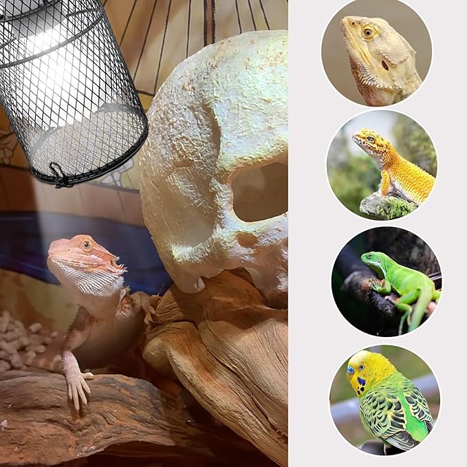 kathson 2 Pcs Reptile Heat Lamp Guard,Reptile Anti-Scald Mesh Cage Guard Lampshade,150W Ceramic Heat Emitter Heat Lamp Shade Fixture for Snake Lizard Turtle Frog,Without Bulb