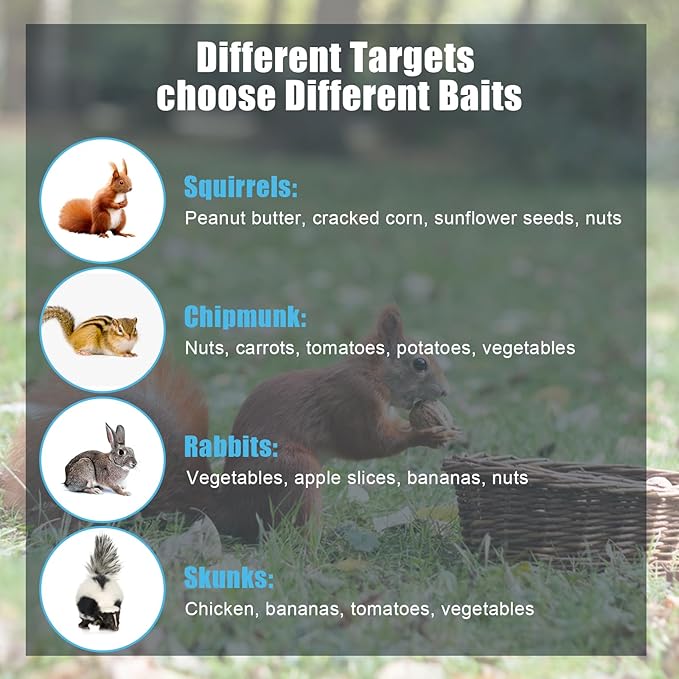 Live Animal Cage Trap, Heavy Duty Humane Cage Trap for Squirrels, Chipmunks, Rabbits, and Small Rodents, Safely Catch & Release - 1 Trap