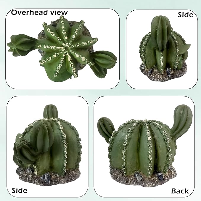 IBWell Resin Cactus Leopard Gecko Hide Reptile Cave，Desert Terrarium Décor，Bearded Dragon Hideout, Small Reptile Hide
