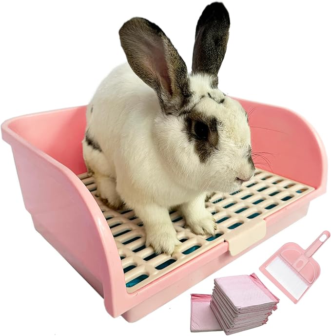 Kiwi & Mora Rabbit Litter Box - Extra Large Bunny Litter Box with Grate | 17.1"x12.8", Pee Pads & Cleaning Set – Potty Training Litter Pan for Large Breed Rabbits, Guinea Pig, Ferret, Chinchilla
