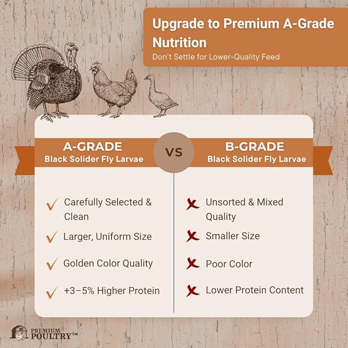Black Soldier Fly Larvae for Chickens – High Calcium Chicken Treats for Strong Eggshells & Egg Production – Dried BSFL Grubs Poultry Feed for Ducks, Wild Birds & Backyard Flocks, 5lb