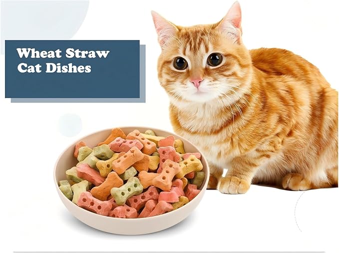 Tioncy 24 Pcs Cat Food Bowl 5.5'' Fatigue Relief Shallow Cat Food Dish Wide and Small Pet Wet Plate Wide Stray Wet Feeding Bowl for Ferrets Feral Short Legged Kitten, Wheat Straw(Four Color,Classic)